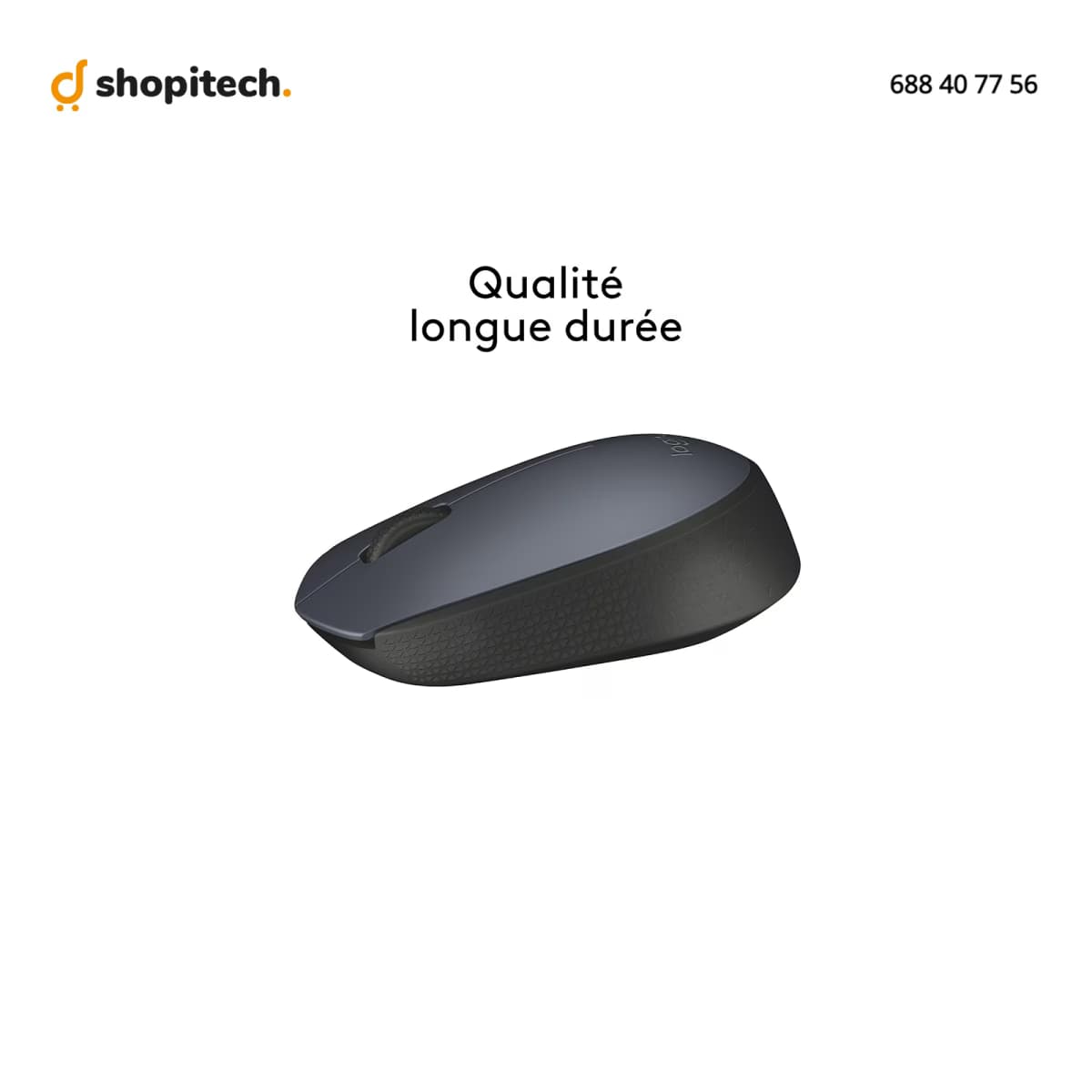 Souris Logitech M170