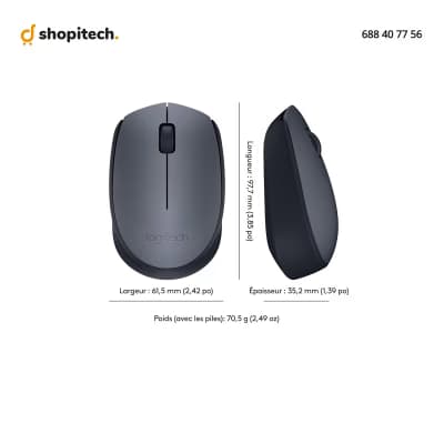 Souris Logitech M170