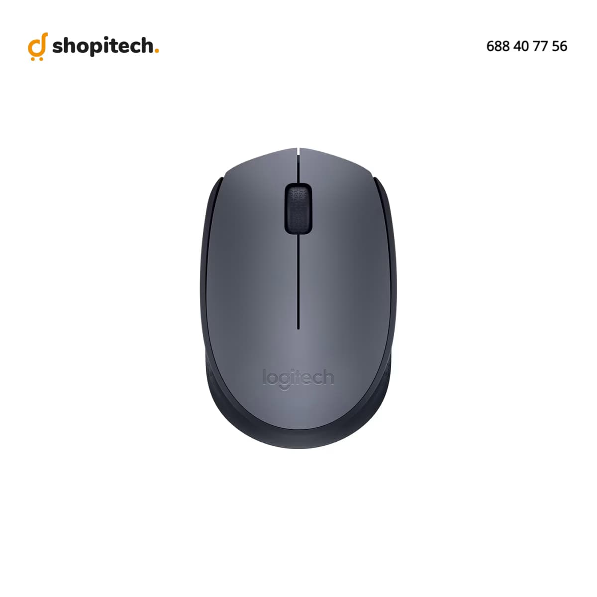 Souris Logitech M170