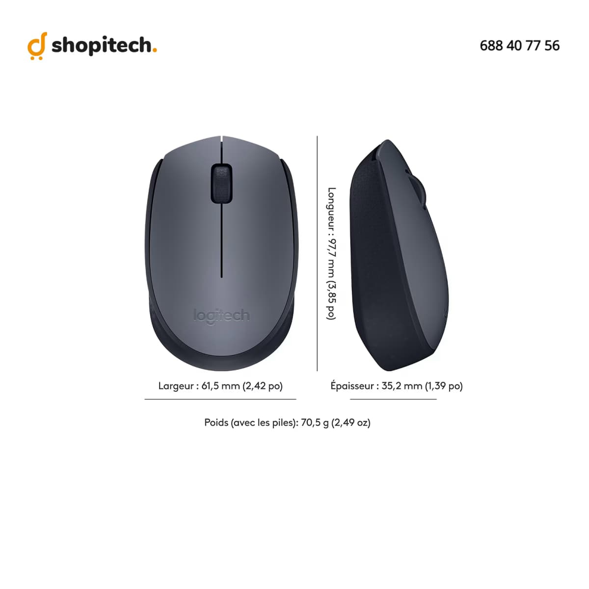 Souris Logitech M170