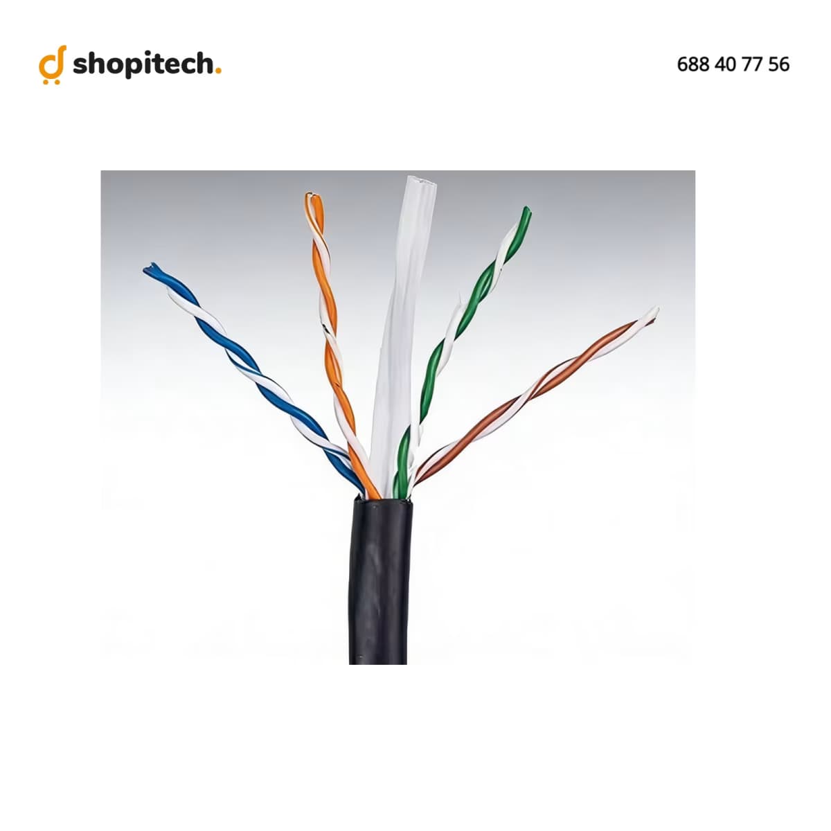 Câble Réseau CAT6 UTP Bleu Intérieur 305M